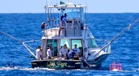Yacht define novo calendário da Temporada de Pesca Oceânica
